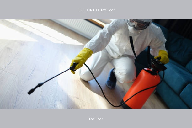 PEST CONTROL Box Elder